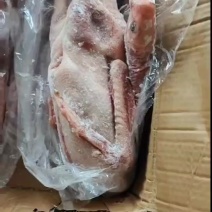 大鹅老鹅都有，几只的都有货