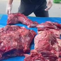 鲜冻牛肉厂家直销量大从优