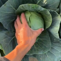 需要大量用货的，工厂，食品厂，养殖厂。精品货都当次货卖。