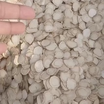 长白山西洋参片花旗参片包邮，西洋参整枝免费打粉