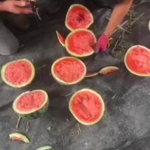 陕西甜王西瓜批发价格_水果供应_一手便宜货源 _ 一亩田
