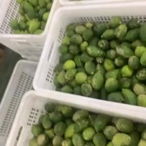 广东正宗香水柠檬三级果