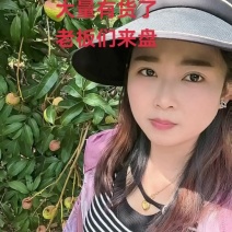 云南元江三月红荔枝全国供应，支持电商一件代发