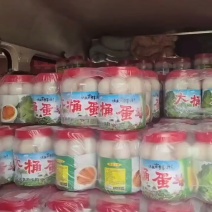 大桶蛋