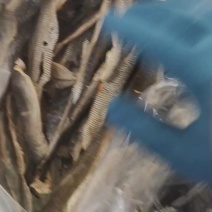 干鱼皮