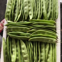 一点红油豆，大量有货