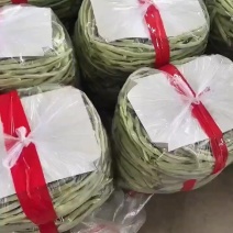 芸豆，油豆大量上市，欢迎市场电商来电咨询。