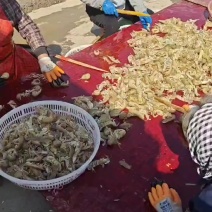 皮皮虾带黄60不带黄35