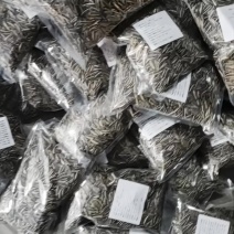 干炒瓜子，生瓜子，一件代发，全网***，高品质