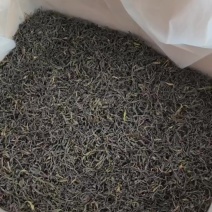 新茶上市凤凰单丛茶农工厂直批，支持一件代发欢迎前来咨询。