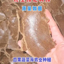瓜果蔬菜等农业种植底肥