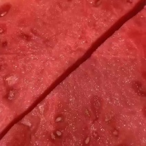 精品纯无籽货源充足量大老板联系