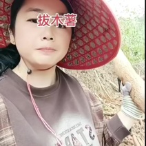 产地直销广西黄心木薯，华南9号品种，新鲜现挖