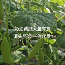 奶油黄瓜
