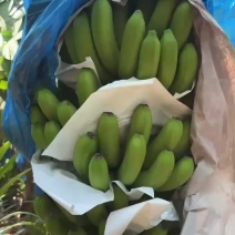 巴西
