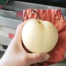 皇冠梨