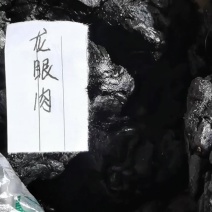 龙眼肉