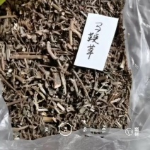 马鞭草
