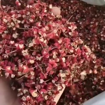 陕西韩城小时农家特产大红袍花椒，有需要的老板请联系我！