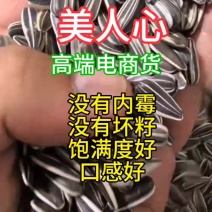 高端电商瓜子美人心，千粒500，没有内霉，没有坏籽，