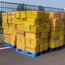 二手精品鸡蛋托出货中纸箱周转箱出售