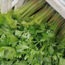 芹菜茼蒿空心菜