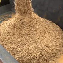 重庆啤酒糟小麦大米原料高蛋白易吸收