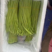 云南精品芦蒿、黎蒿，泥蒿