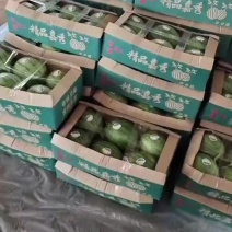 湖北江夏基地嘉秀6号西瓜上市欢迎订单