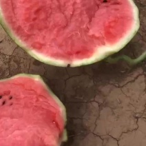 西瓜