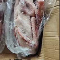 黄河大草鹅厂家直销量大从优