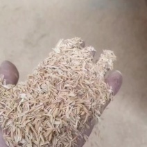广西软包稻壳出售米厂直供