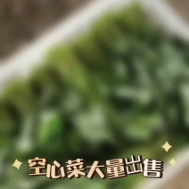 大量空心菜
