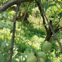 有需要的老板联系我
