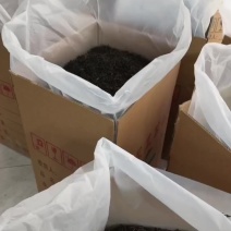 凤凰单丛密兰香批发