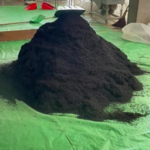 土种红茶