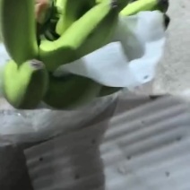 云南香蕉正宗新鲜现摘甜糯青皮当季整箱山地孕妇水果基地直发