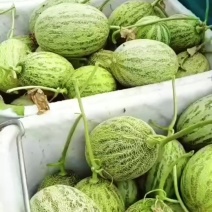 奶油蜜瓜