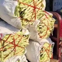 芸豆大量有货，喜欢的老板可以来了