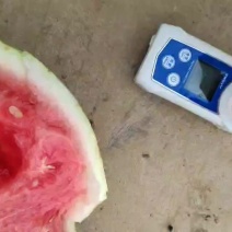 精品美都麒麟西瓜产地直发，质量三包