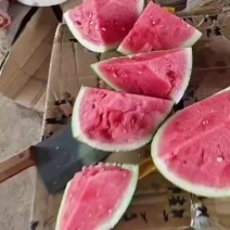 大棚无籽美都