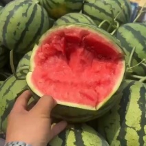 无籽美都麒麟西瓜产地直发品质保证诚信合作欢迎来电
