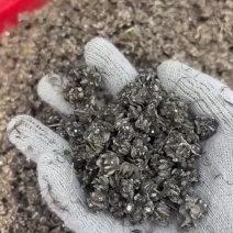 尖爪猫爪草，颗粒大小饱满均匀，水洗两遍