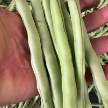 无筋四季豆，产地直发，支持各种包装，按需分拣