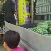 美都麒麟西瓜