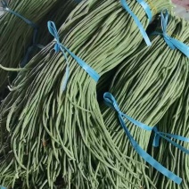 精品长豆角，商超，加工厂，市场大量现货