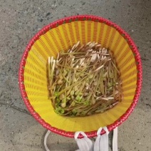 现踩现卖量少保证新鲜