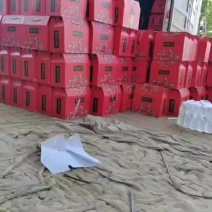 河北精品L600西瓜基地种植产地直销现采现发