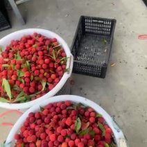 经营代办产地发货