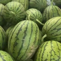 冰糖翠玉小西瓜***********